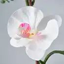 Bild 3 von FEJKA Topfpflanze, künstlich, Orchidee weiß, 12 cm