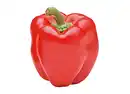 Bild 1 von Paprika 13cm Topf gelb/rot