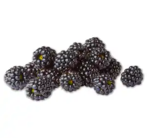 Brombeeren
