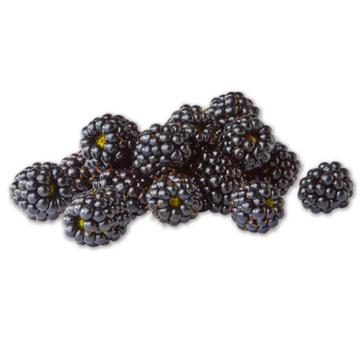 Bild 1 von Brombeeren