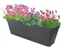 Bild 1 von Blumenkasten mit Bewässerungseinsatz