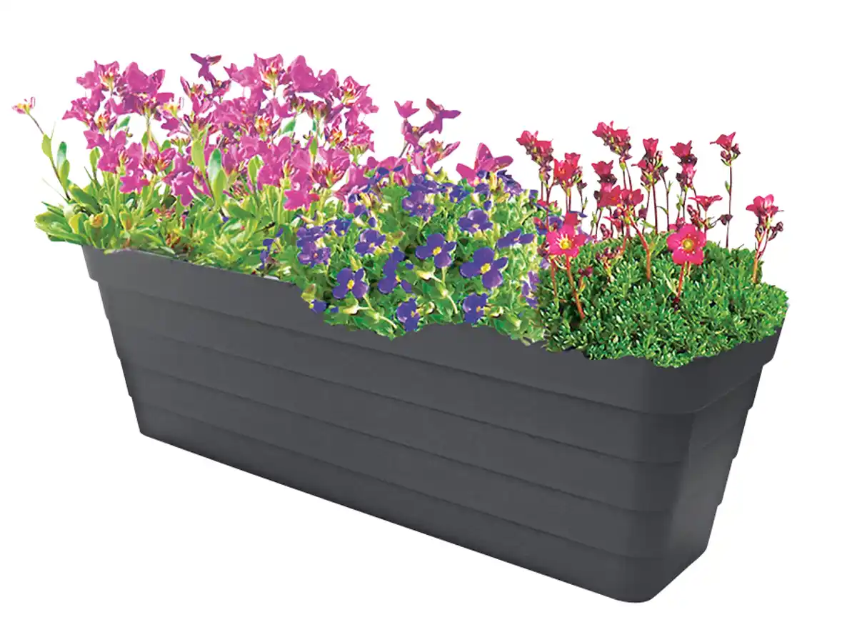 Bild 1 von Blumenkasten mit Bewässerungseinsatz