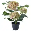 Bild 1 von FEJKA Topfpflanze, künstlich, drinnen/draußen/Hortensie weiß, 12 cm