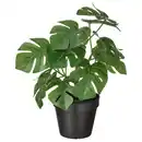 Bild 1 von FEJKA Topfpflanze, künstlich, drinnen/draußen Monstera, 12 cm