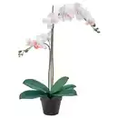 Bild 1 von FEJKA Topfpflanze, künstlich, Orchidee weiß, 12 cm