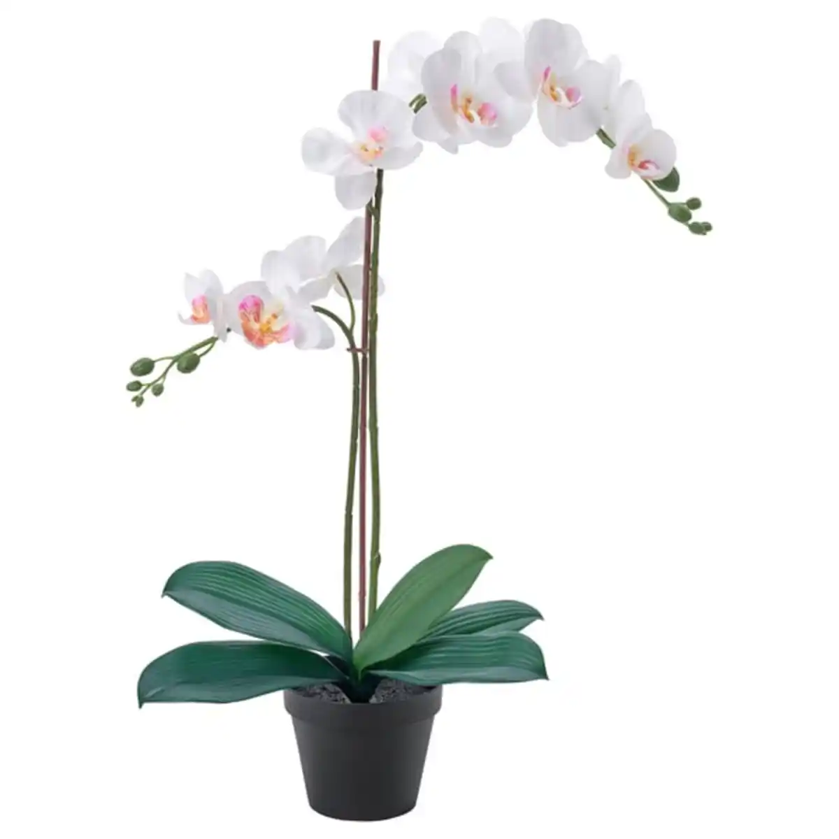 Bild 1 von FEJKA Topfpflanze, künstlich, Orchidee weiß, 12 cm