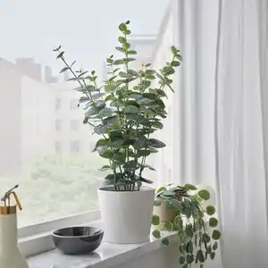 FEJKA Topfpflanze, künstlich, drinnen/draußen Eukalyptus, 15 cm