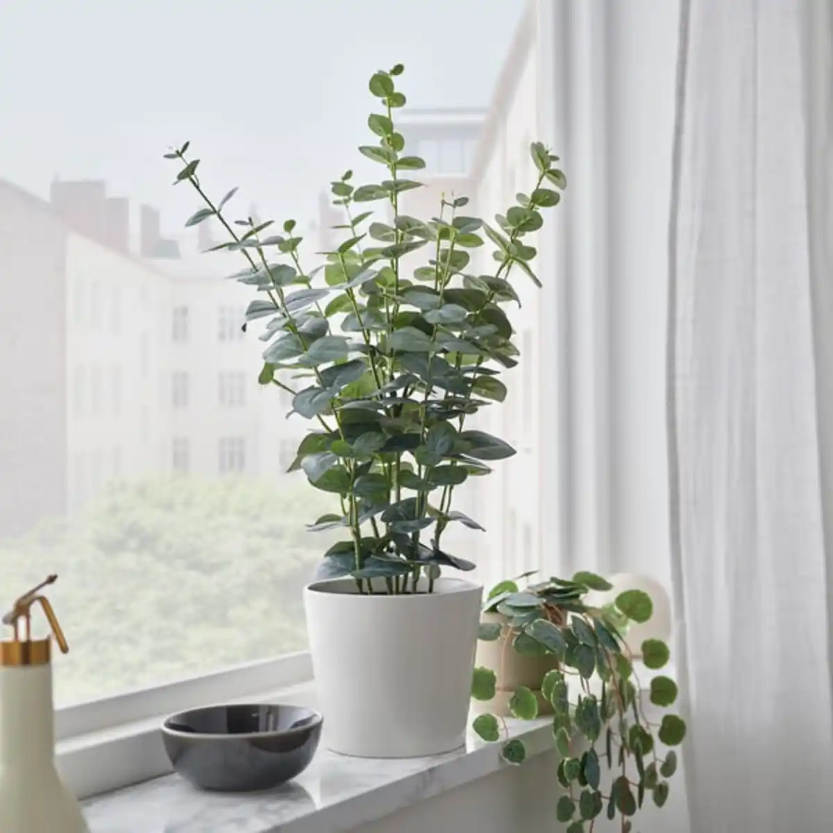 Bild 1 von FEJKA Topfpflanze, künstlich, drinnen/draußen Eukalyptus, 15 cm