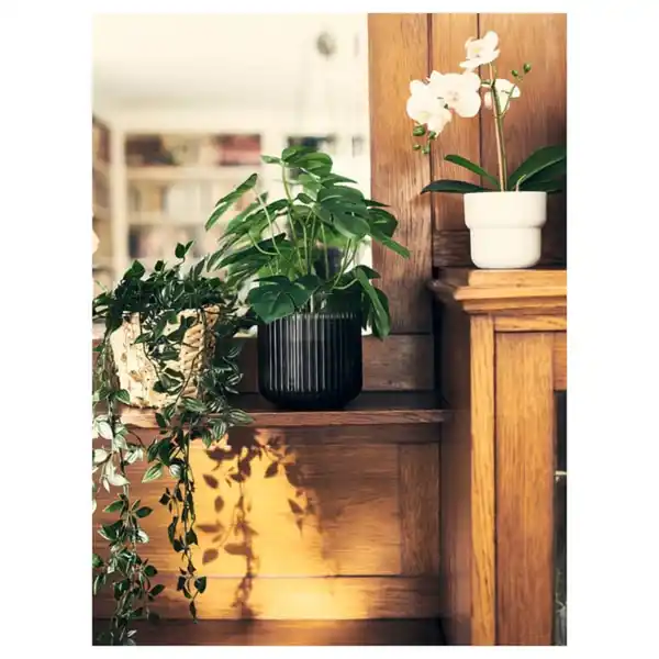 Bild 3 von FEJKA Topfpflanze, künstlich, drinnen/draußen Monstera, 12 cm