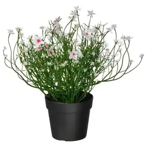 FEJKA Topfpflanze, künstlich, drinnen/draußen/Schleierkraut weiß, 9 cm