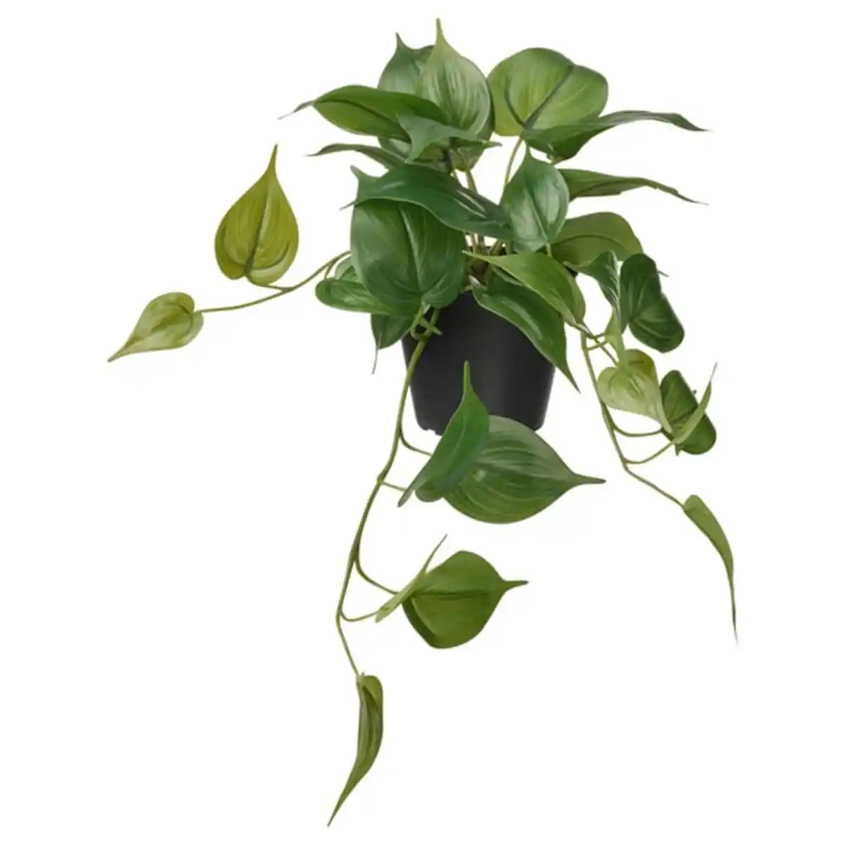 Bild 1 von FEJKA Topfpflanze, künstlich, drinnen/draußen Efeutute/hängend, 12 cm