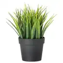 Bild 1 von FEJKA Topfpflanze, künstlich, drinnen/draußen Gras, 9 cm