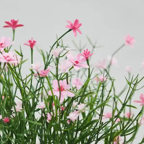 Bild 2 von FEJKA Topfpflanze, künstlich, drinnen/draußen/Schleierkraut rosa, 9 cm