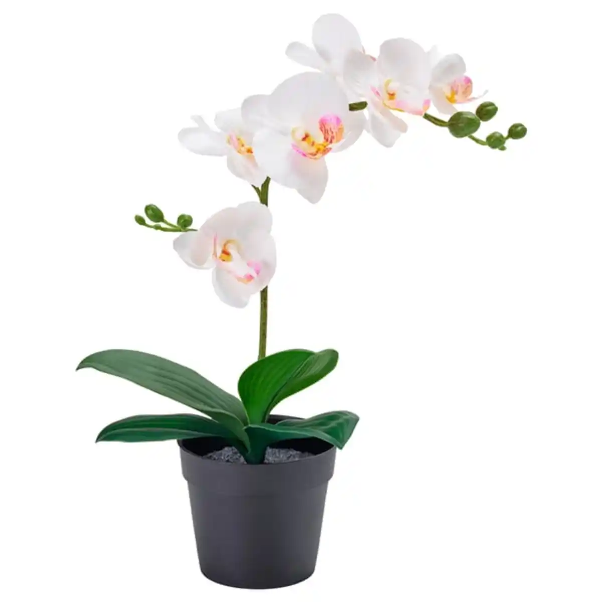 Bild 2 von FEJKA Topfpflanze, künstlich, Orchidee weiß, 9 cm
