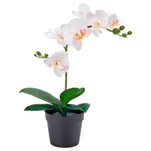 Bild 2 von FEJKA Topfpflanze, künstlich, Orchidee weiß, 9 cm