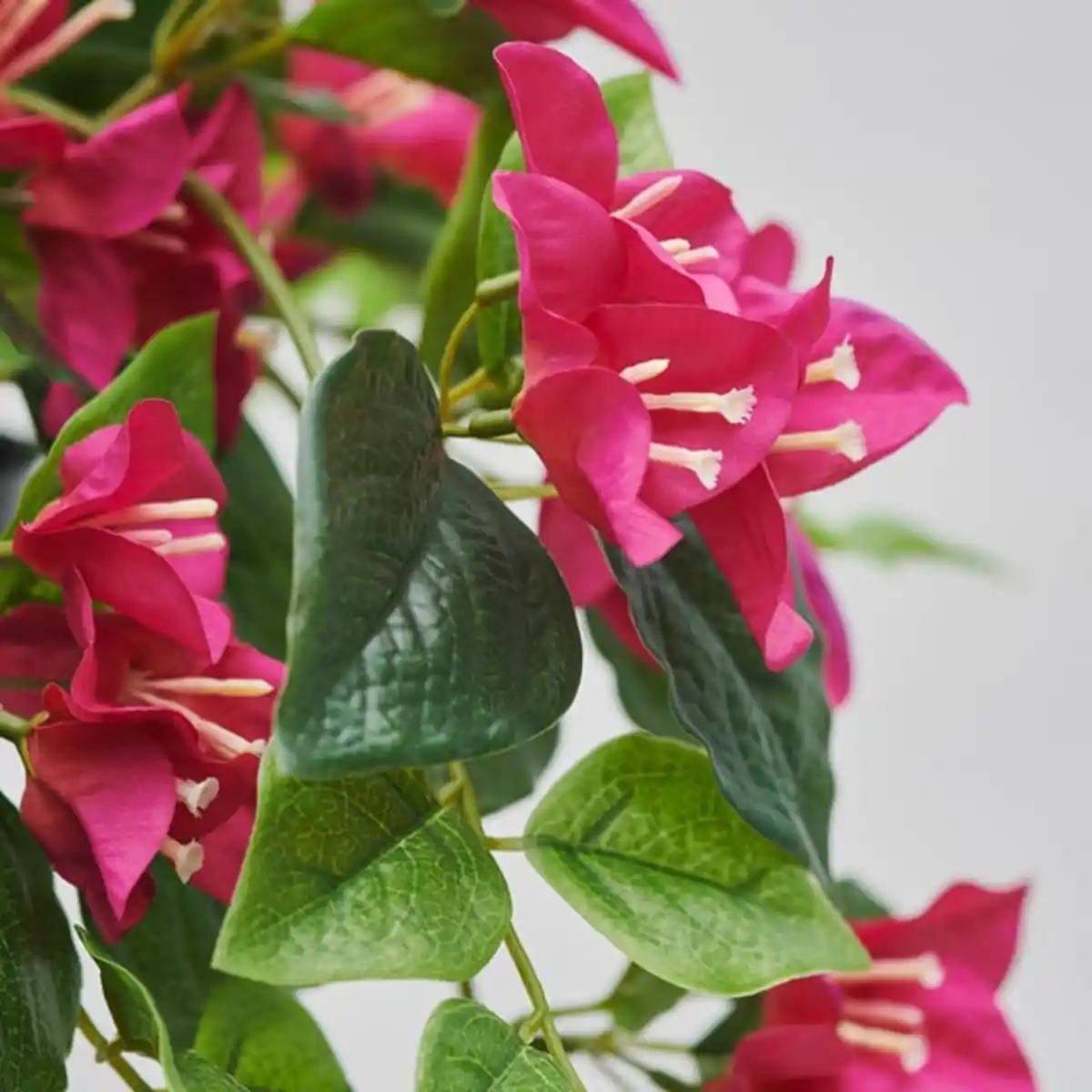 Bild 2 von FEJKA Topfpflanze, künstlich, drinnen/draußen/Bougainvillea rosa, 12 cm