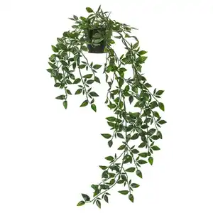 FEJKA Topfpflanze, künstlich, drinnen/draußen/hängend, 9 cm