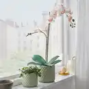 Bild 2 von FEJKA Topfpflanze, künstlich, Orchidee weiß, 12 cm