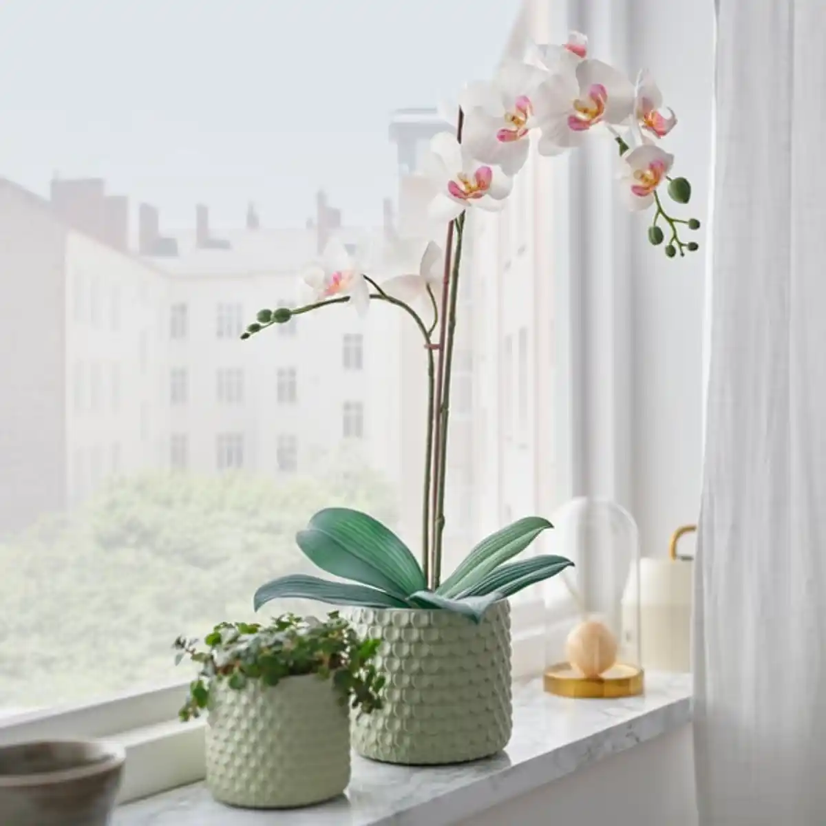 Bild 2 von FEJKA Topfpflanze, künstlich, Orchidee weiß, 12 cm