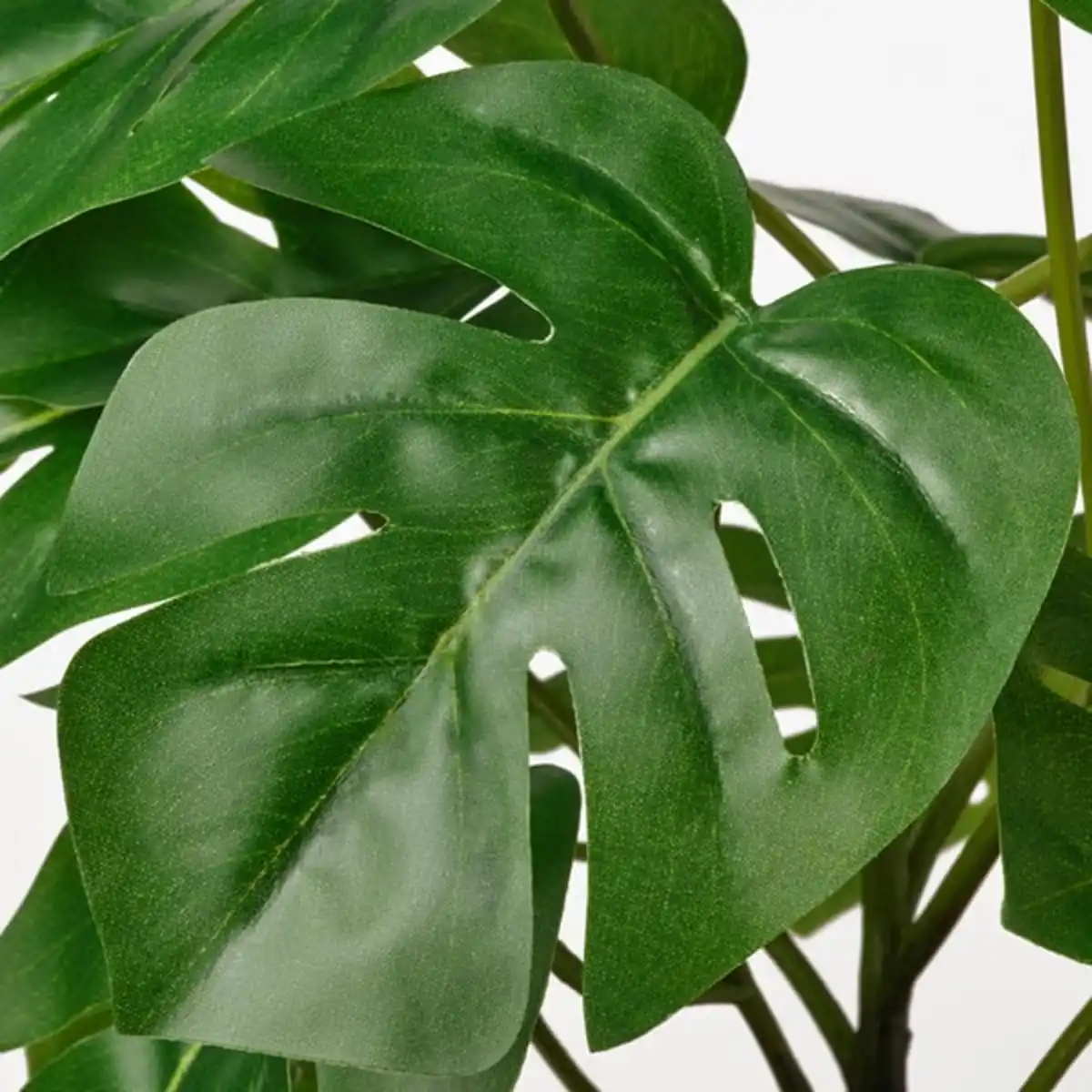 Bild 4 von FEJKA Topfpflanze, künstlich, drinnen/draußen Monstera, 12 cm