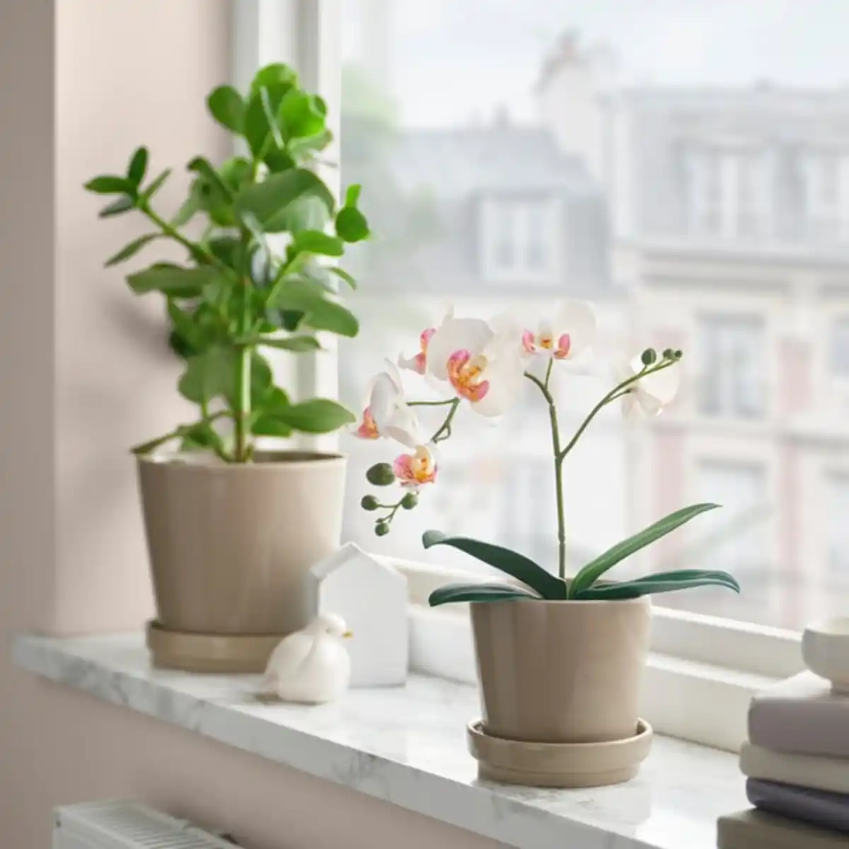 Bild 1 von FEJKA Topfpflanze, künstlich, Orchidee weiß, 9 cm