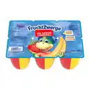 Bild 1 von DANONE Fruchtzwerge-Duo XXL
