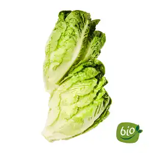 BIO Mini-Romana-Salatherzen
