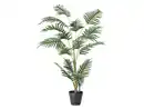 Bild 3 von LIVARNO® Kunstpflanze Olivenbaum / Strelitzie / Palme