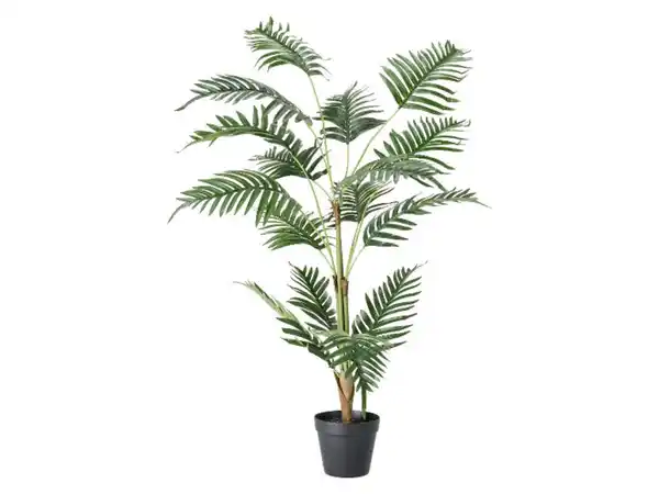 Bild 3 von LIVARNO® Kunstpflanze Olivenbaum / Strelitzie / Palme