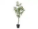 Bild 2 von LIVARNO® Kunstpflanze Olivenbaum / Strelitzie / Palme