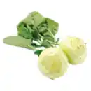 Bild 1 von Kohlrabi