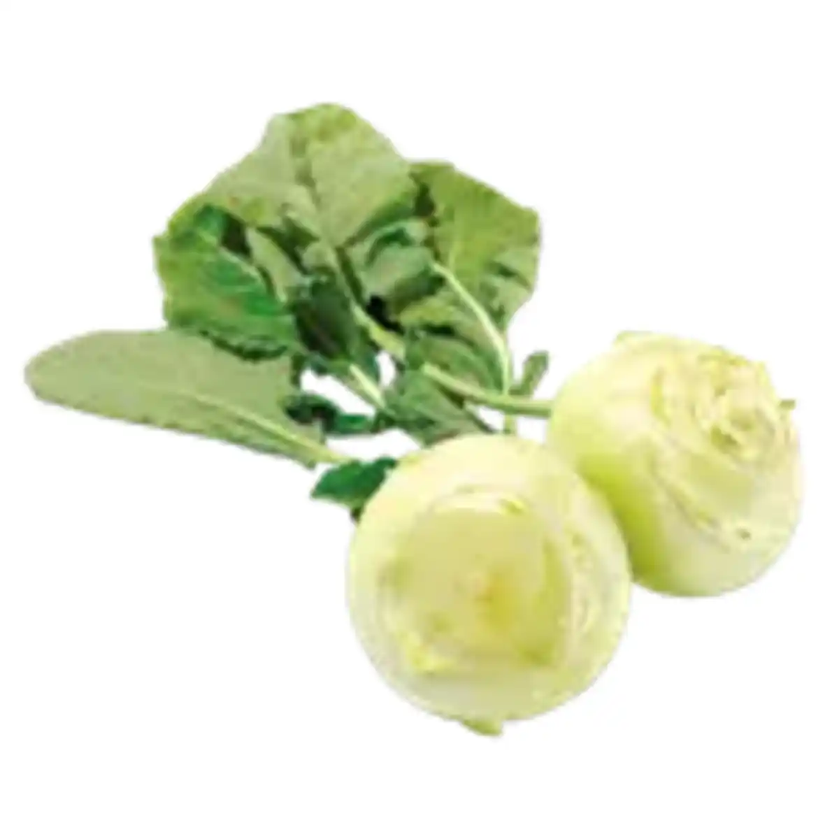 Bild 1 von Kohlrabi