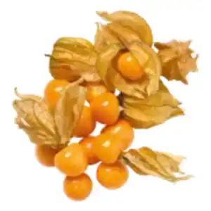 Physalisbeeren