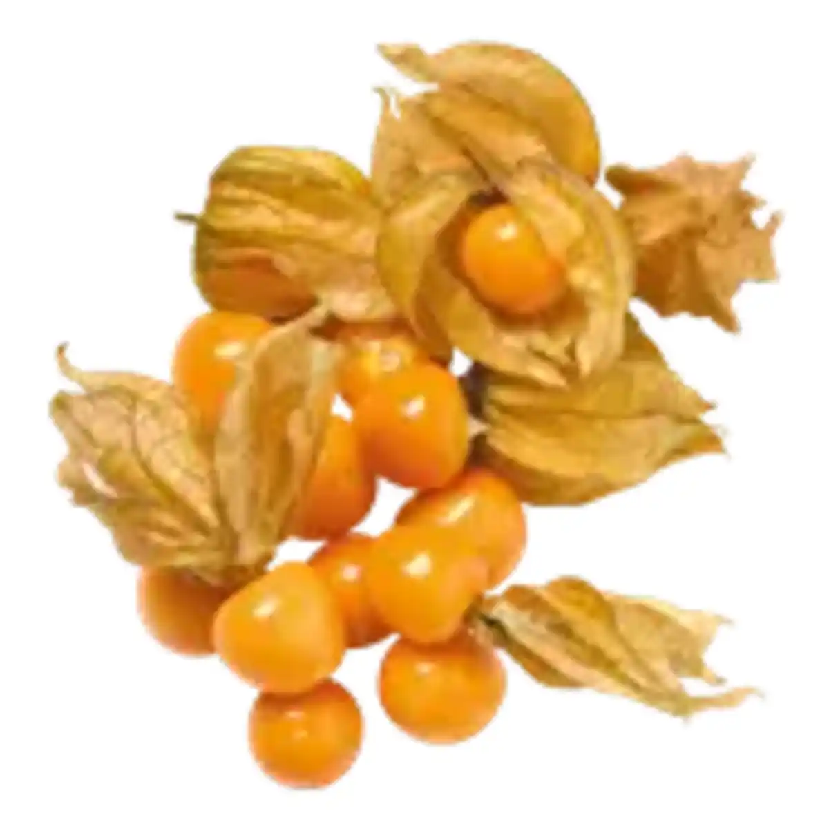Bild 1 von Physalisbeeren