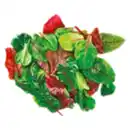 Bild 1 von GO Regio Pflücksalat