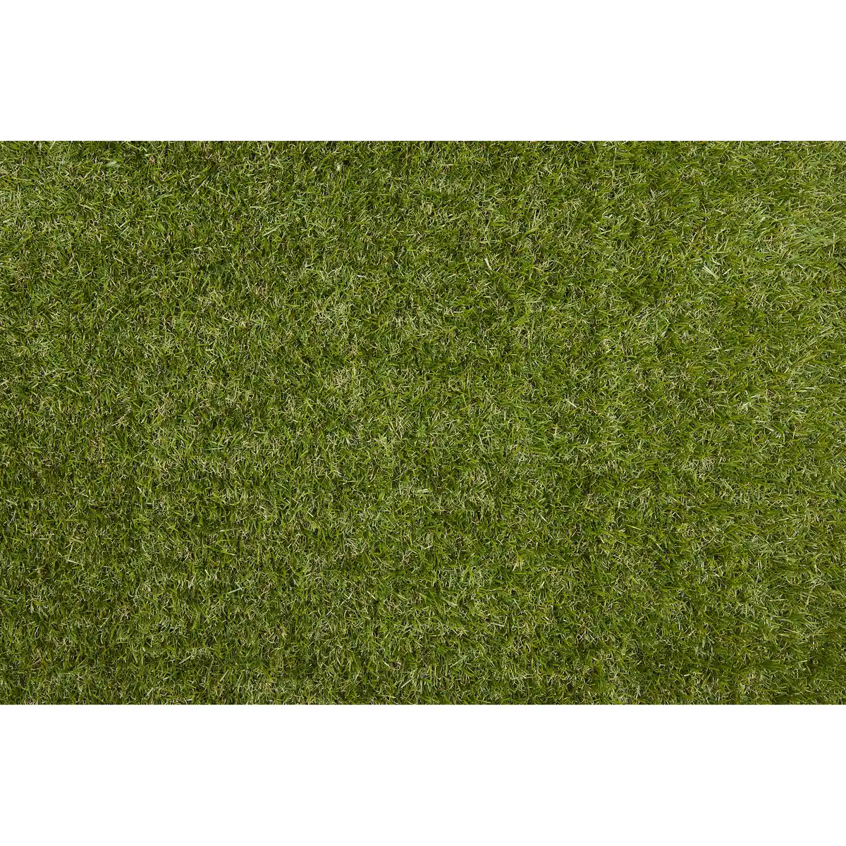 Bild 1 von Rasen Deluxe Rasenteppich 'Varel' grün 200 x 300 cm mit Drainage