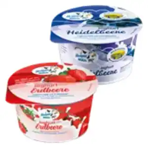 Hemme Milch Fruchtjoghurt