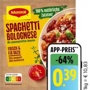 Maggi Fix, Herzensküche oder Food Travel Würzpaste