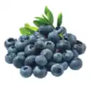 Bild 1 von Heidelbeeren