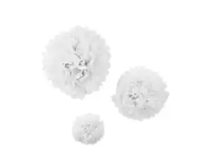 Pompons