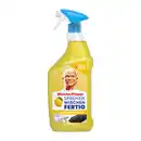 Bild 3 von MEISTER PROPER Reiniger