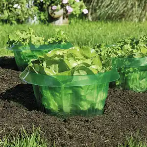 Powertec Garden Schneckenschutzringe 6er-Set