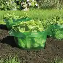 Bild 1 von Powertec Garden Schneckenschutzringe 6er-Set