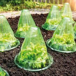 Powertec Garden Pflanzhut 10er-Set