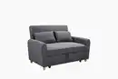 Bild 1 von Schlafsofa mit Ausziehfunktion und 2 Kissen, ca. 139 x 96 x 88 cm – Dunkelgrau