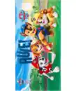 Bild 1 von Paw Patrol Lizenz Strandlaken, blau