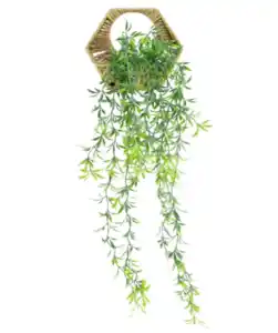 Hängender Kunst-Philodendron, grün