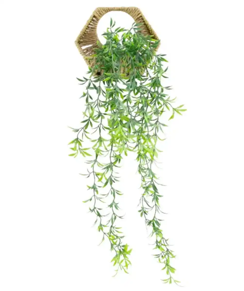 Bild 1 von Hängender Kunst-Philodendron, grün