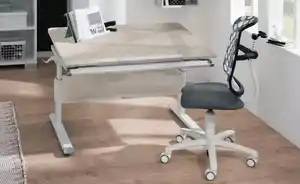 PAIDI Buchstütze Zubehör Schoolworld