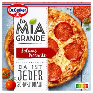DR. OETKER Pizza La Mia Grande 380 g, Salame Piccante